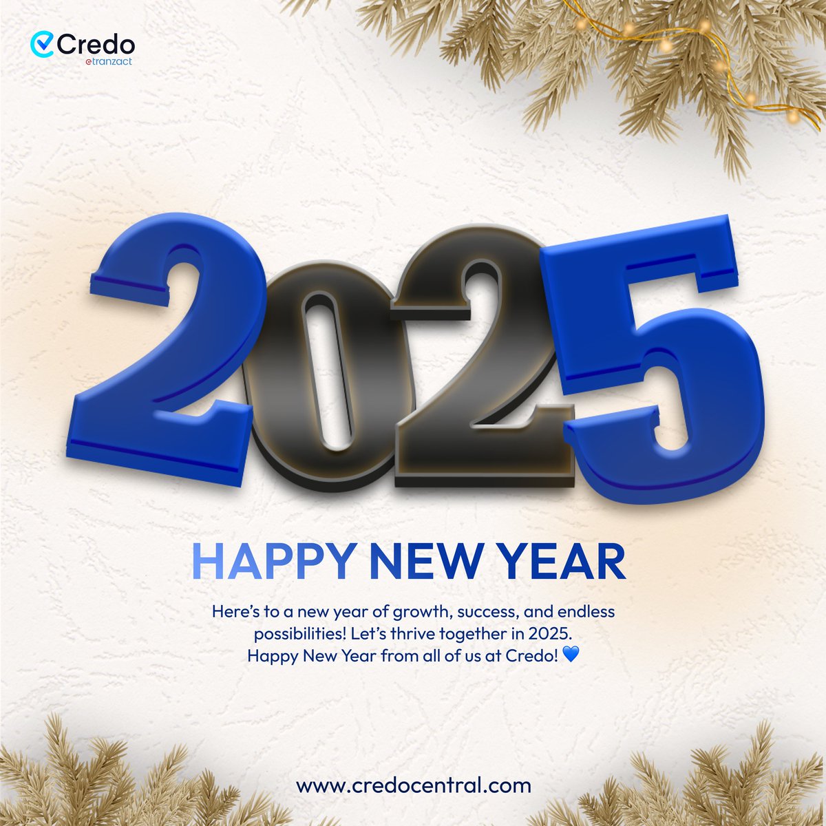 New year, same mission: to deliver excellence and make every moment count. Here's to leveling up in 2025🥂
:
Happy New Year from Credo💙🥳
