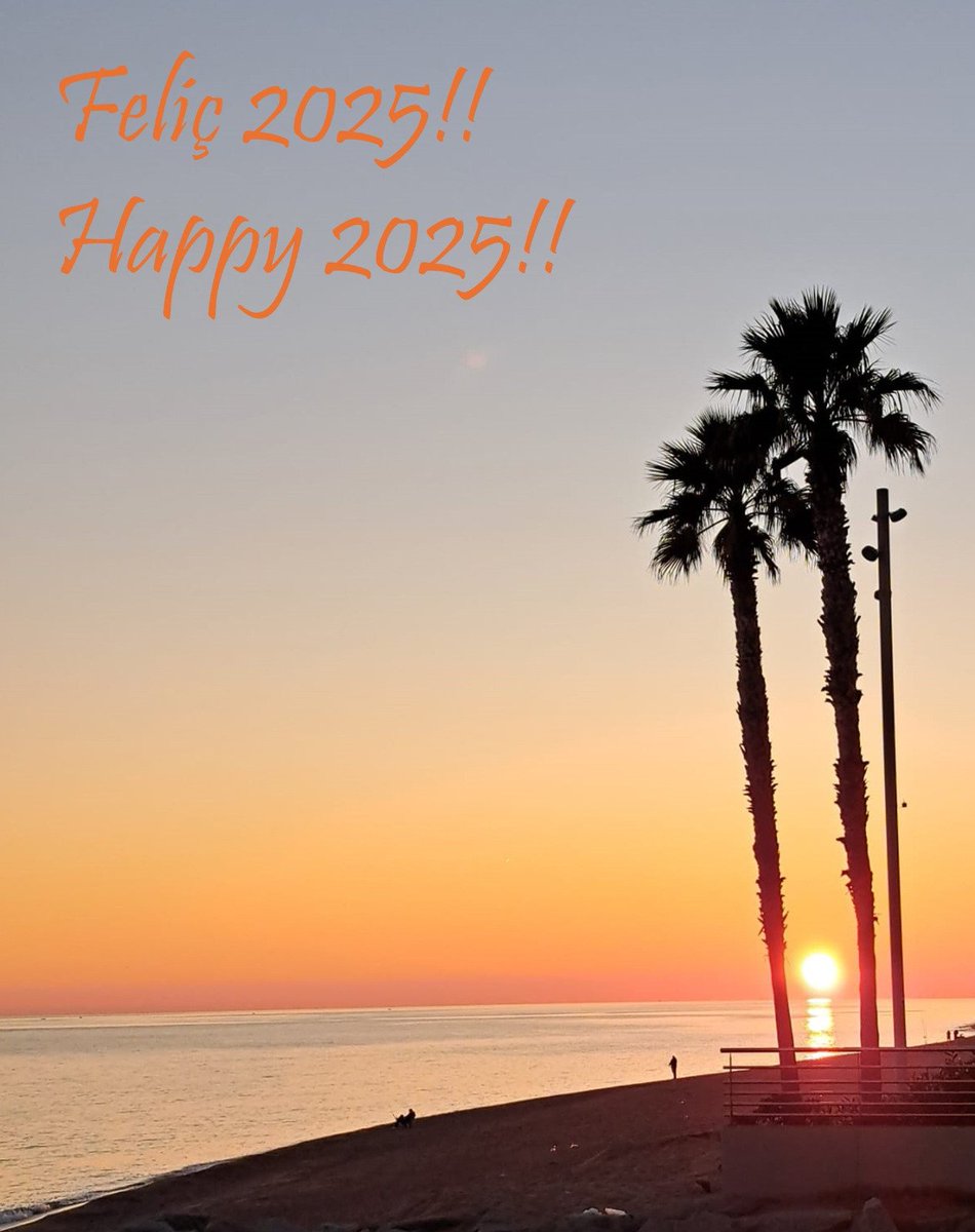 marta fonro tweet media