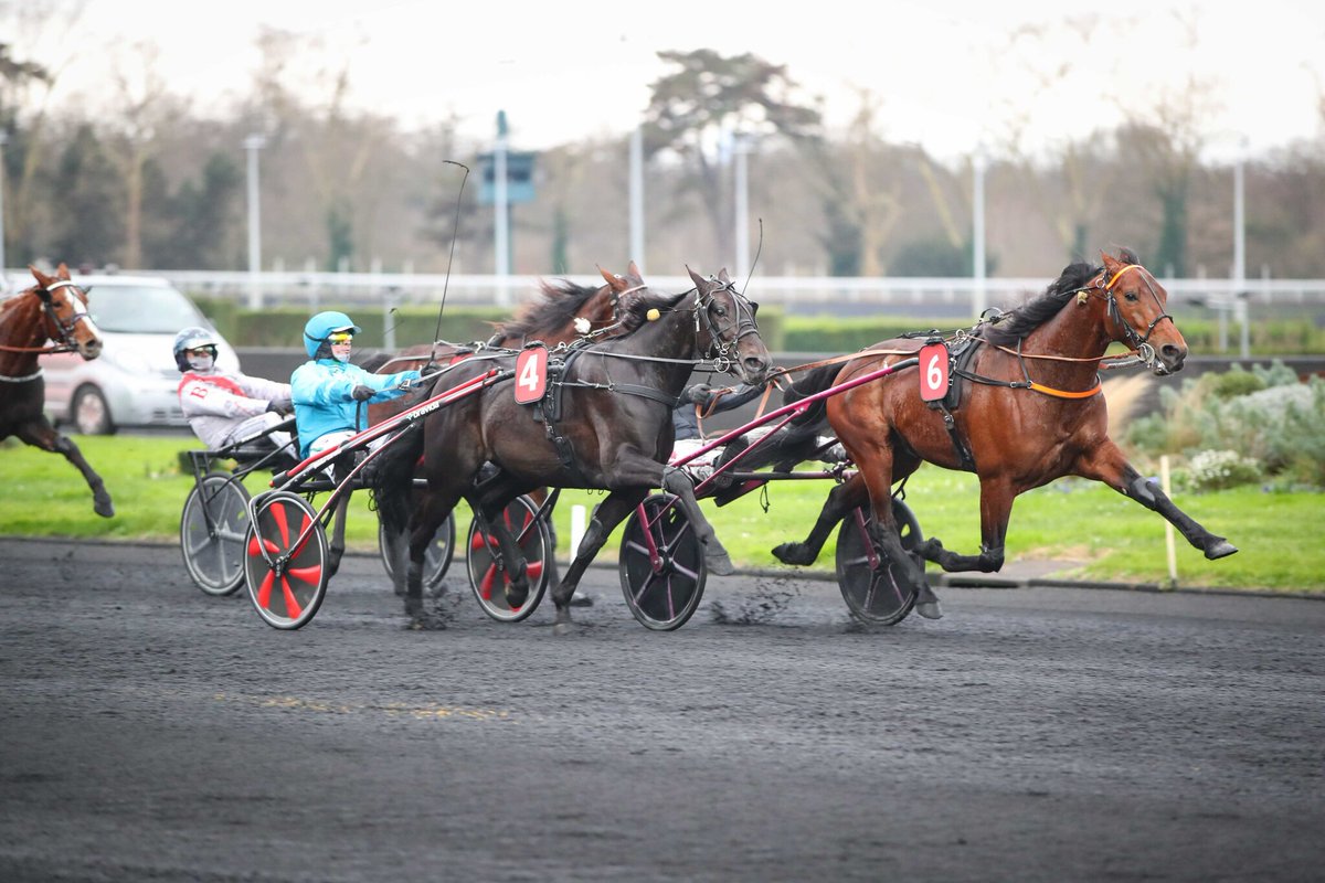 PMU - Arrivée du quinté du mercredi 1er janvier à Paris-Vincennes : Jabalpur remplit son contrat
➡️ l.leparisien.fr/20vO