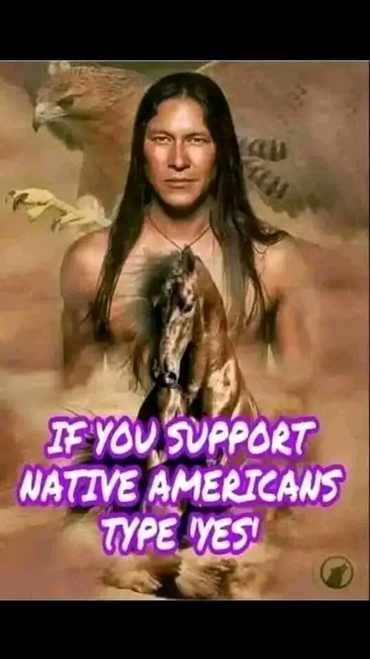 Proud Native Americans tweet media