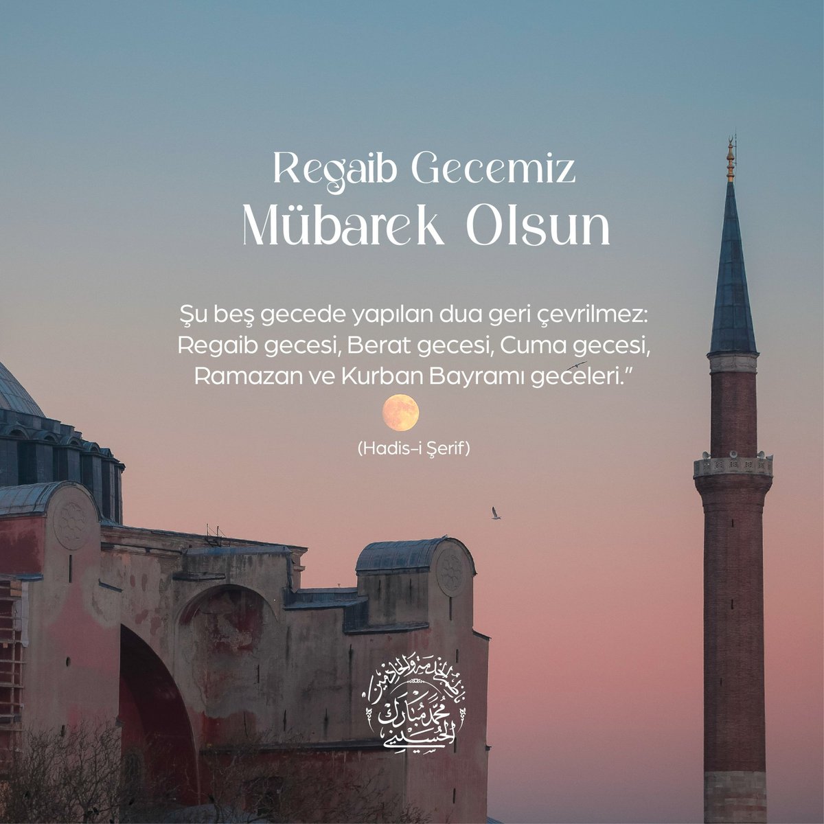 Seyyid Muhammed Mübarek Elhüseynî (@s_m_mubarek_elh) on Twitter photo 