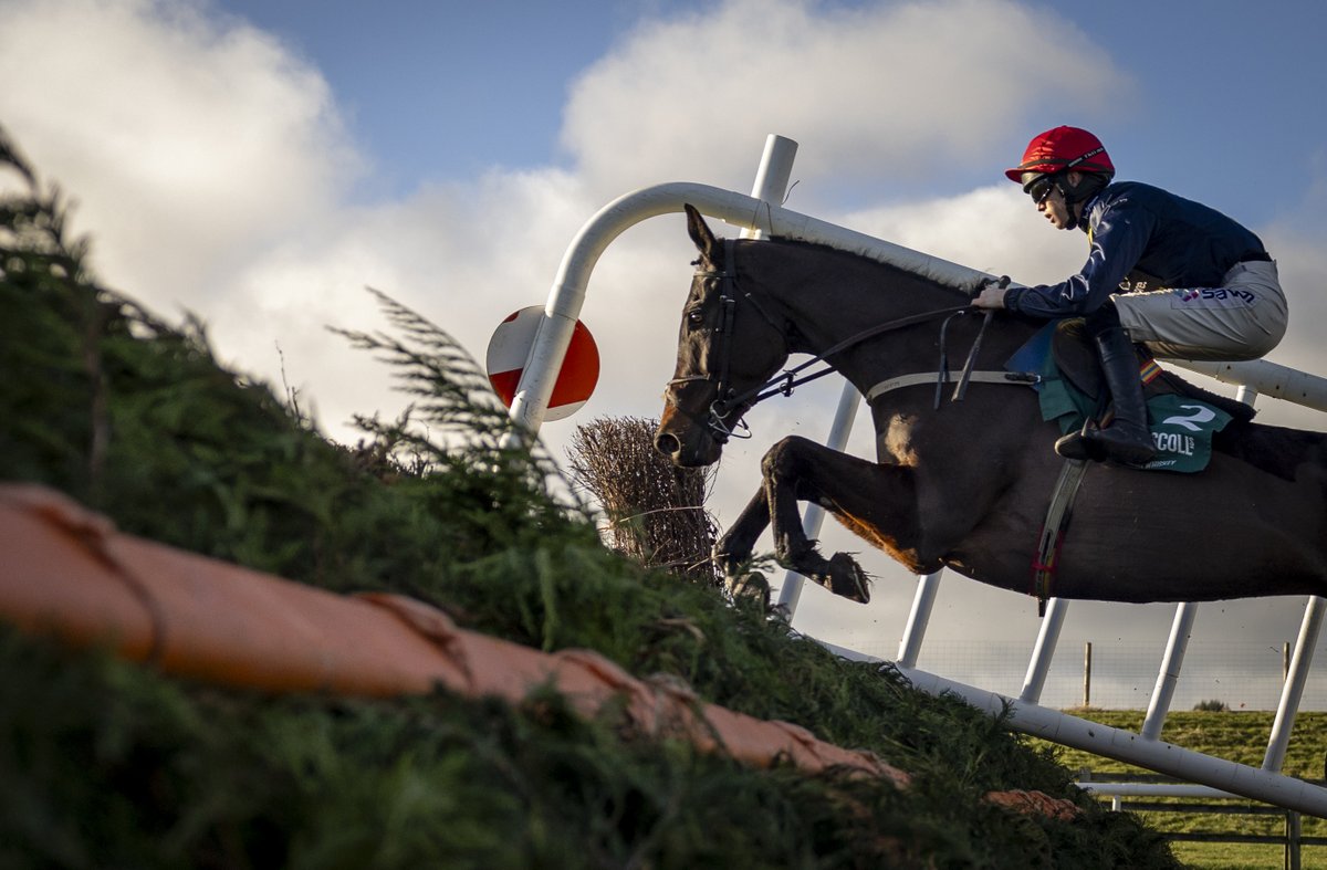 Tote (@toteracing) on Twitter photo What a photo! 🔥
📸 EMBASSY GARDENS soaring to success in the New Year's Day Chase at <a href="/TramoreRaces/">Tramore Racecourse</a> under <a href="/Michael_OSull/">Michael O'Sullivan</a> 👏 What a photo! 🔥
📸 EMBASSY GARDENS soaring to success in the New Year's Day Chase at <a href="/TramoreRaces/">Tramore Racecourse</a> under <a href="/Michael_OSull/">Michael O'Sullivan</a> 👏