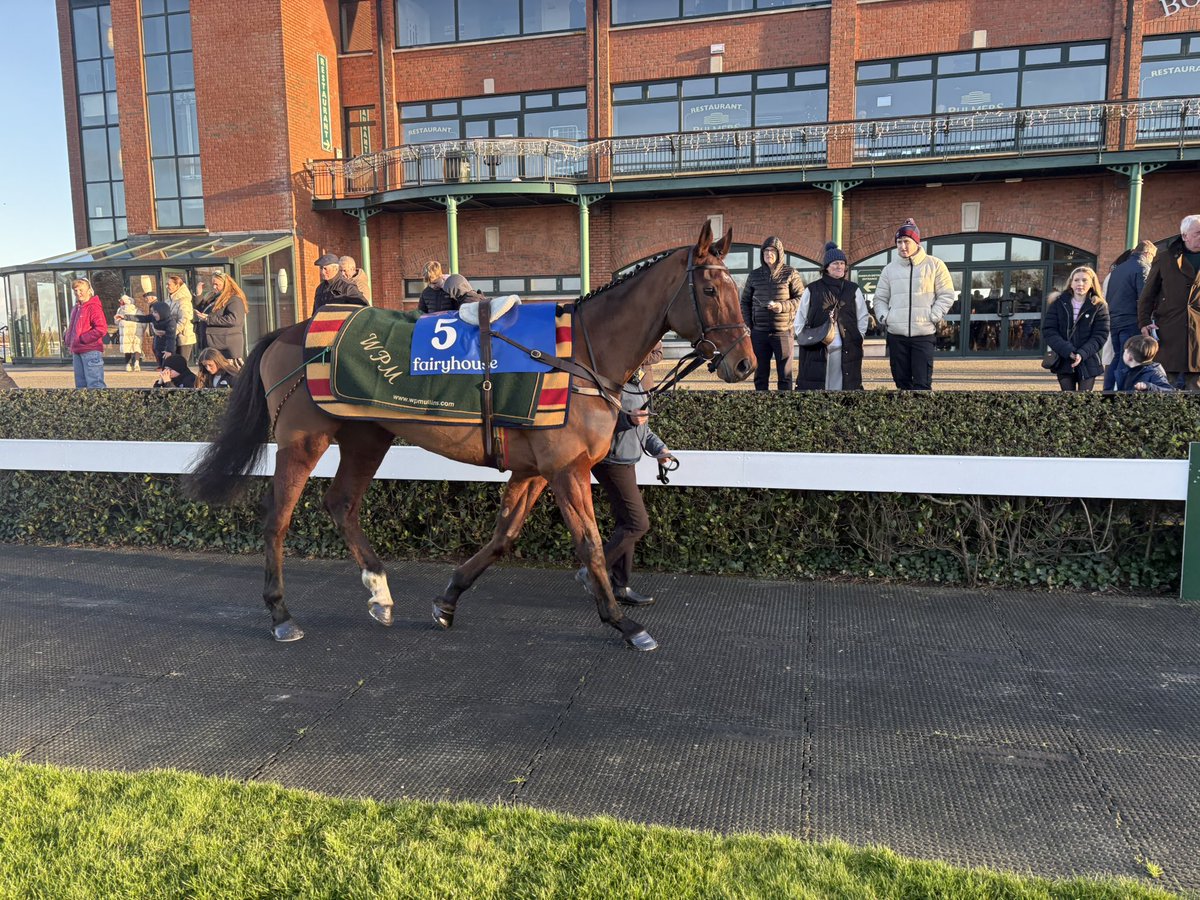 Chosen Witness looking a picture 🙏