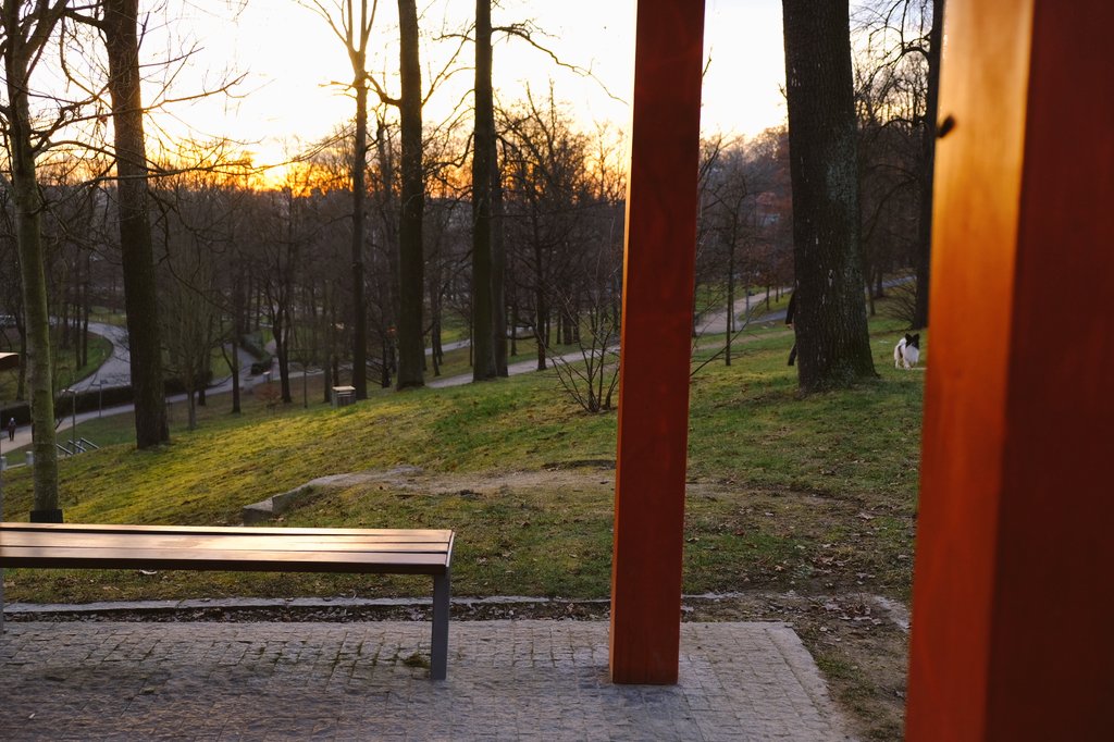 Novoroční procházka rodinná.. Velepes zabírá podstatnou část fota..😉🐾