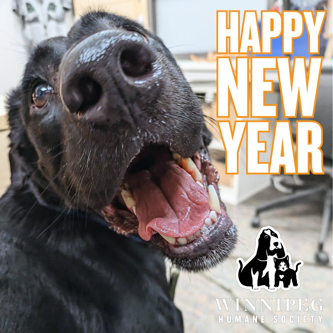 From Midnight and all of us at the WHS, thanks for being here with us over the last year - we can't wait to meet more families and change more lives together in 2025! 🎉

We're closed today but will catch you back in shelter for regular hours tomorrow!