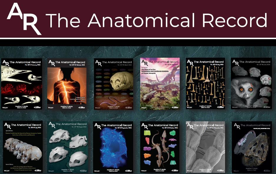 Happy New Year! Covers from our 2024 issues. 
Looking forward to some amazing new issues in 2025!