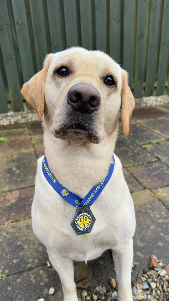 Kevin Paterson 🚙⛺ tweet media