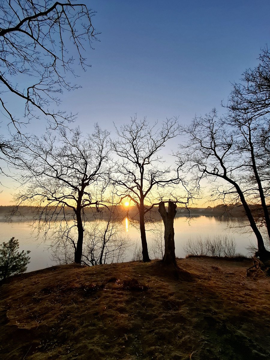 chriz31_07's tweet photo. Thanks to everyone who joined the #2024 monthly photo countdown and to our photo community which has been so active all year: Happy New Year!
Today pls share/QP your favourite December #photo!
#TwitterPhotoCommunity
Some of my favourite,
a few days ago... https://t.co/GYCfgS4Hmi