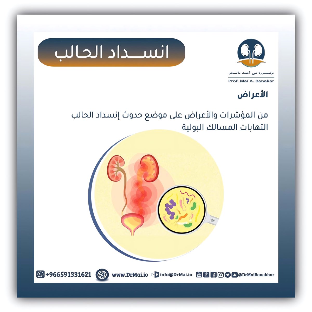 DrMaiBanakhar's tweet photo. قد يصاحب انسداد الحالب 
التهابات المسالك البولية 
البروفيسورة مي بانخر
استشاري طب وجراحة
الكلى والمسالك البولية 

#جدة
للحجز والمواعيد اتبع الرابط👇🏻 
https://t.co/PKZvmNRm2j
#صحة_الرجل
#صحة_المرأة
#صحة_الطفل
#رجل_المسؤولية 
#سيدتي
#اورام https://t.co/hWhDIqKBFp
