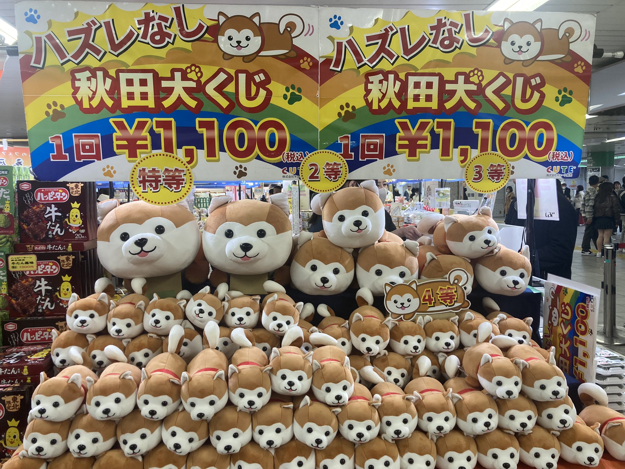 ハッピー秋田犬 ぬいぐるみくじ 2等&4等 希少】ハッピー秋田犬