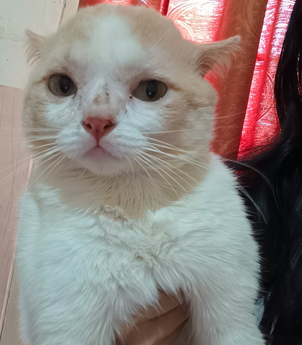 panggil aja ucok tweet media