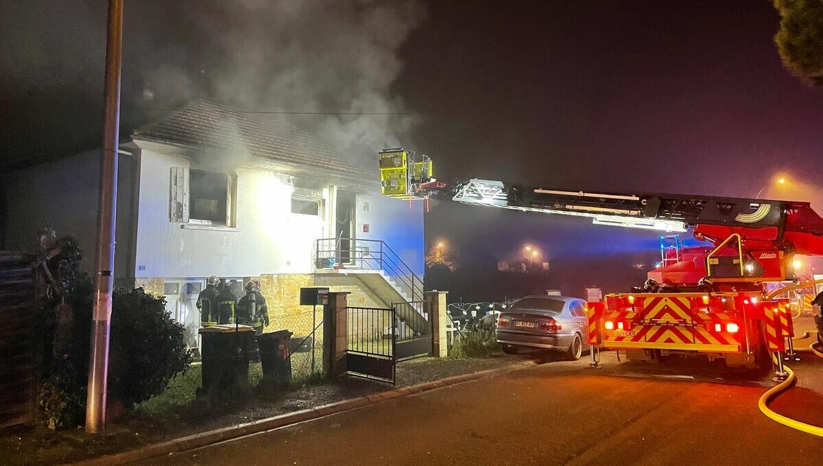 Le serpent offert à Noël meurt dans l'incendie d'une maison en #Dordogne pendant la nuit du Nouvel an
➡️ l.francebleu.fr/QIkH