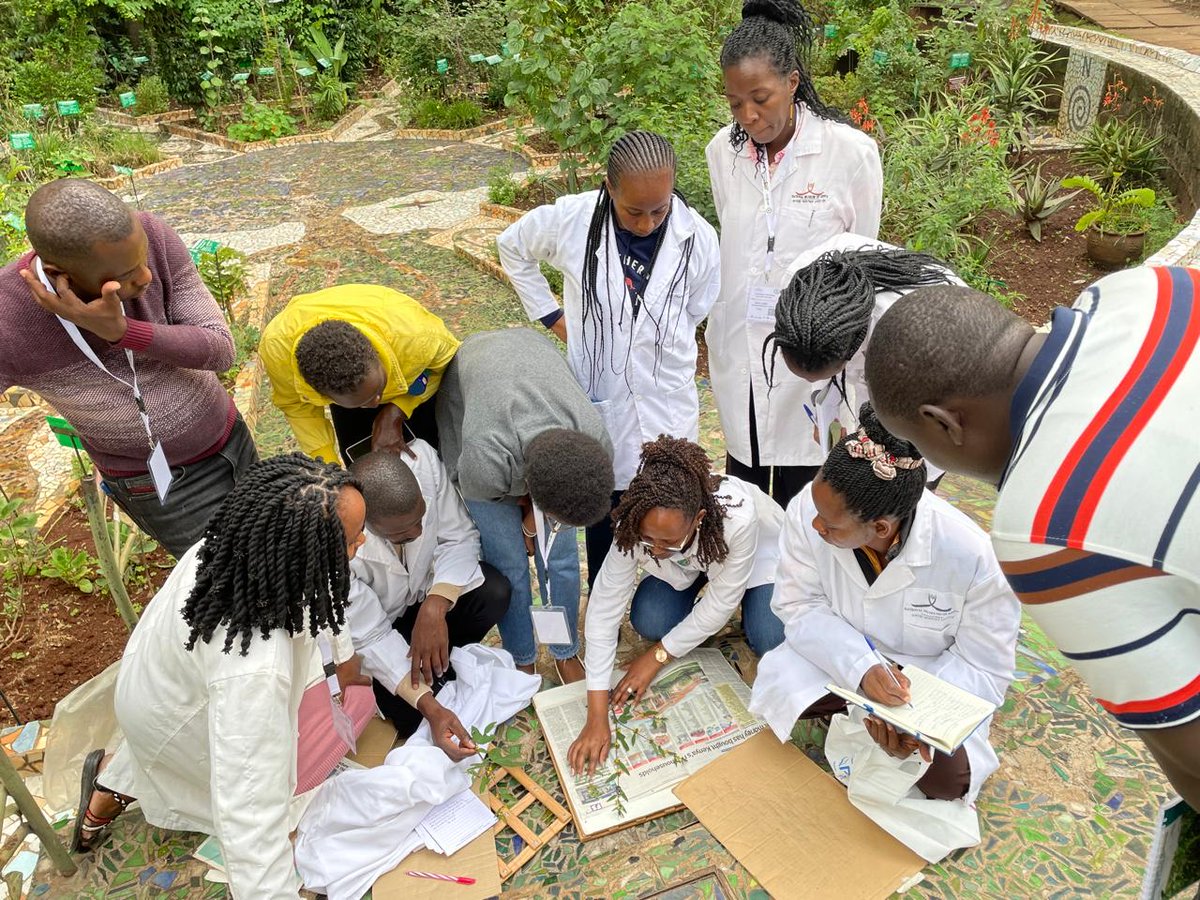 Our team made significant strides in plant research and biodiversity conservation across Kilifi, Makueni, and Nairobi. Our efforts not only contribute to scientific knowledge but also support local communities in raising awareness of the importance of biodiversity conservation.