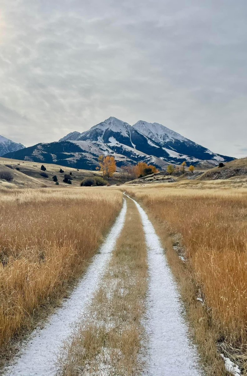 “The future is too soon the past. So make perseverance your excellence and go confidently in the direction of your dreams” Henry David Thoreau. 

Make 2025 your greatest year filled with triumphs, milestones, and growth. Be winning or learning.