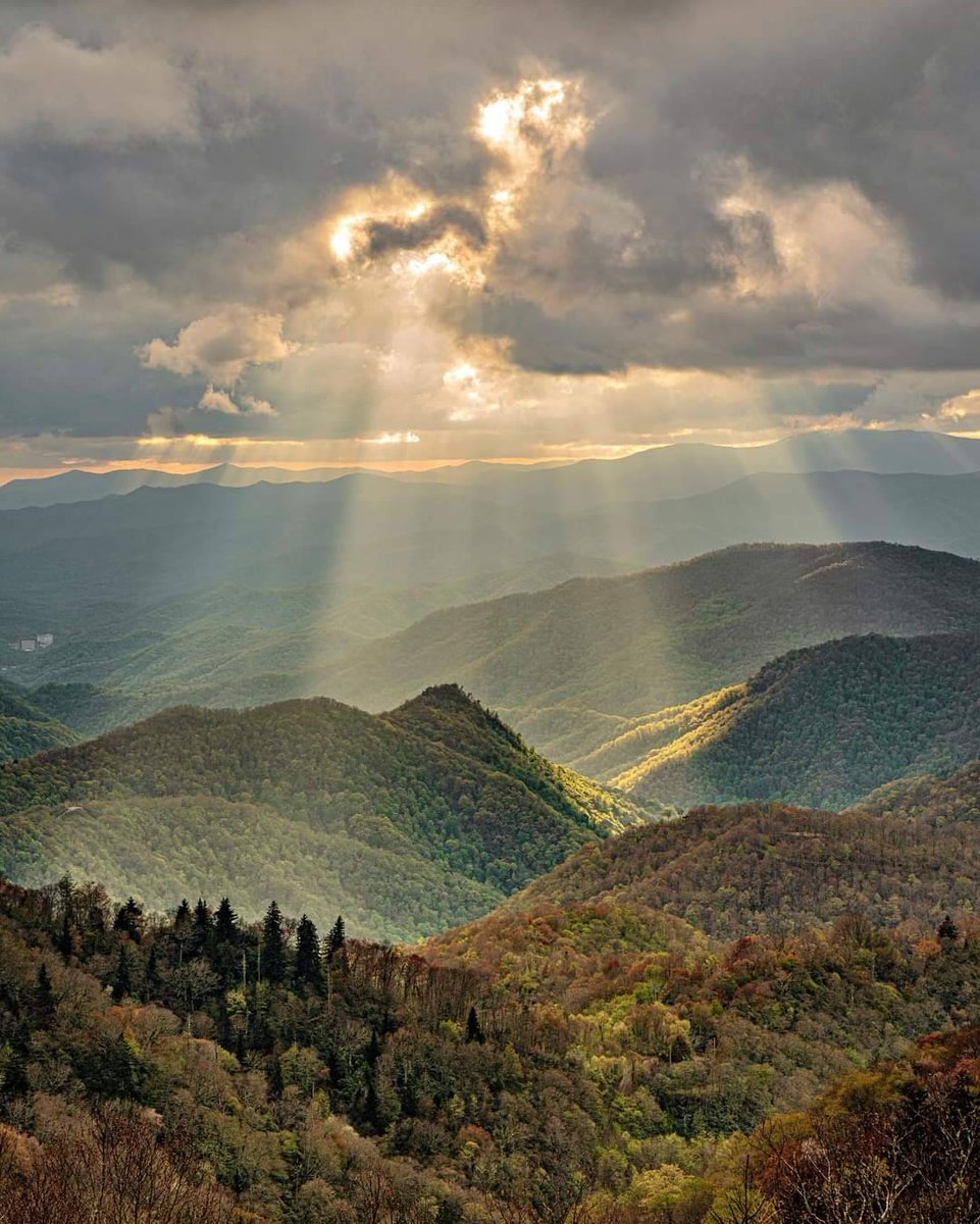 MickPuck's tweet image. Treat yourself kindly in 2025