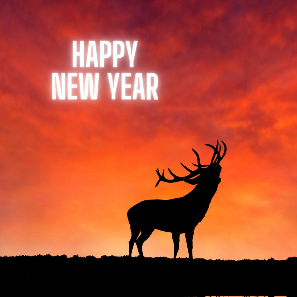 ActionAgainstS's tweet image. We would like to wish all of our followers a very happy new year and thank you for all your support in 2024. 

Happy new year to all the sabs and monitors who are working tirelessly to save our wildlife.

Hopefully 2025 will be the year that Labour finally put a stop to hunting.