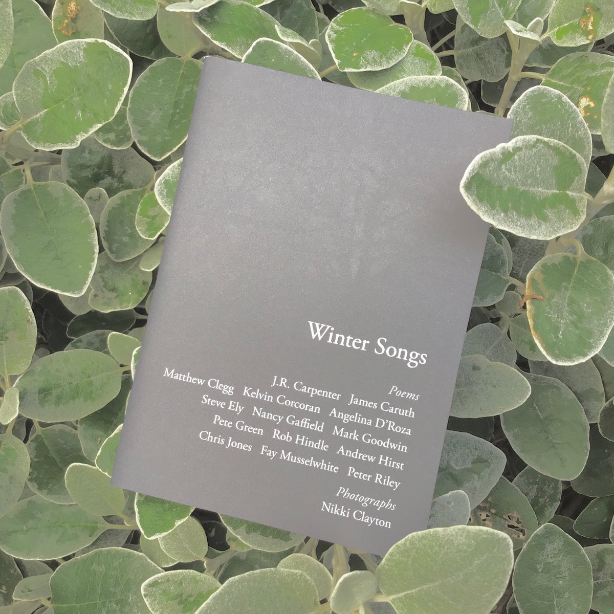 Our voices
are close; completely
echoless - muffled
as if indoors.

We're between
four walls of mist.

New year offer: 30% off Mark Goodwin's hardback collection 'Steps' (+ our mini-anthology 'Winter Songs' free)
markgoodwinsteps.wordpress.com