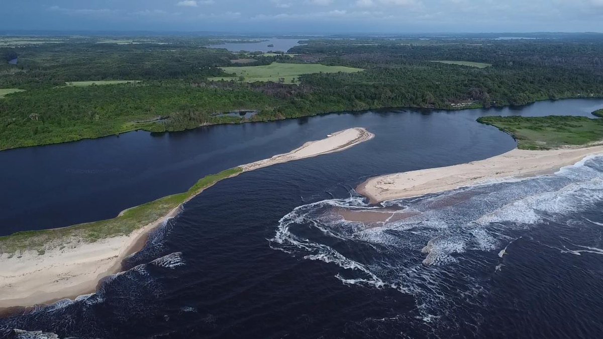 Happy New Year!  #MaiombeForest