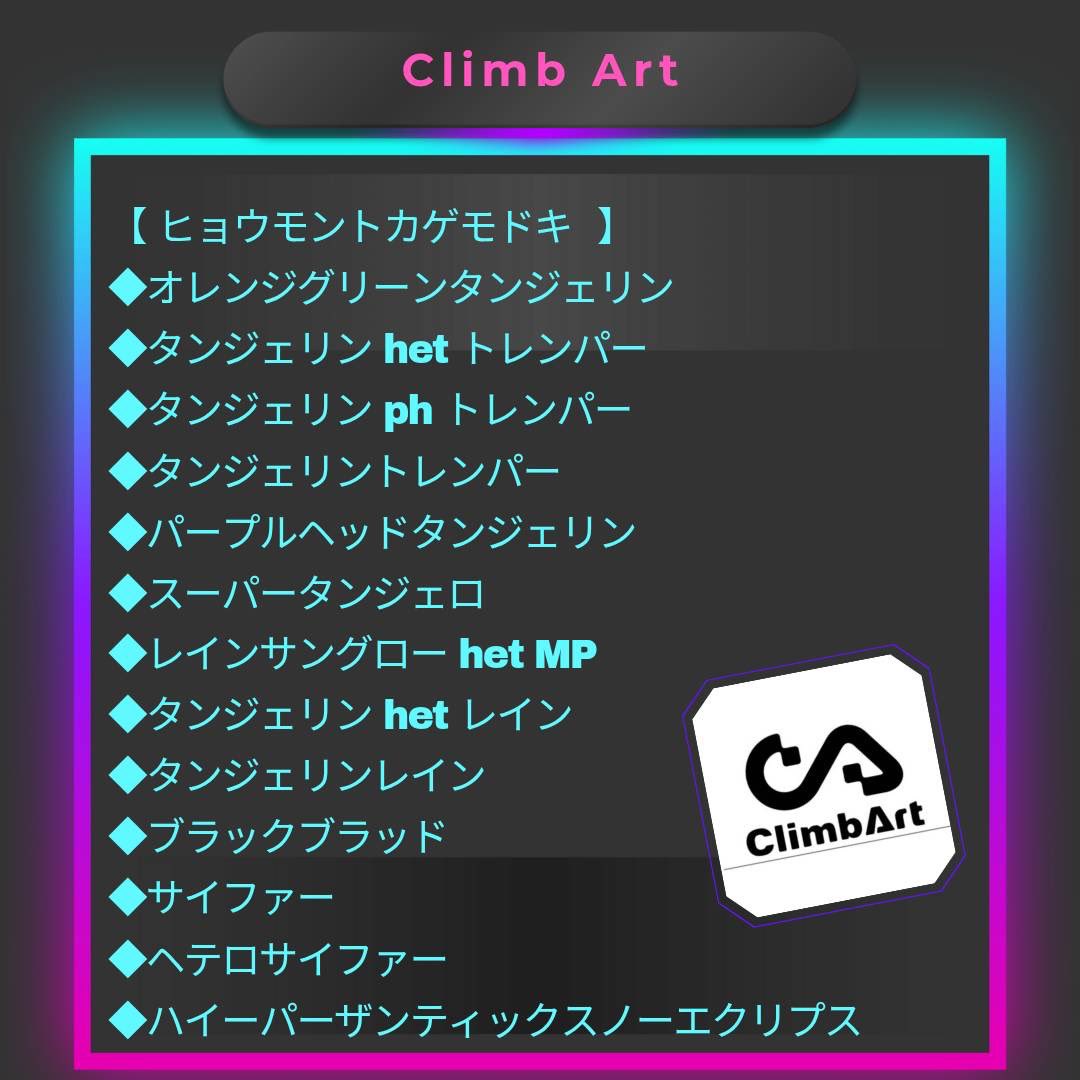 LUCKUP_yosshi's tweet photo. 【Gecker's～ゲッカーズ～】
ヤモリ好きの
ヤモリ好きによる
ヤモリ好きの為の
ヤモリ好きが集う場所

2025.01.04(土)
11:00〜17:00
Climb Art(@climb_art )様の生体リスト🙌
※お問い合わせは各ブリーダー様にお尋ね下さい🙏

#ヒョウモントカゲモドキ #爬虫類