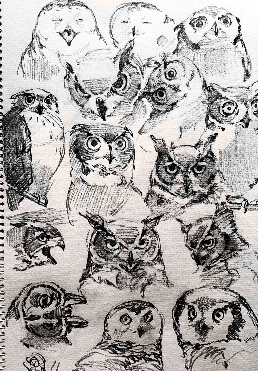 ミナミ/ Minami (@gapapanopa) on Twitter photo 