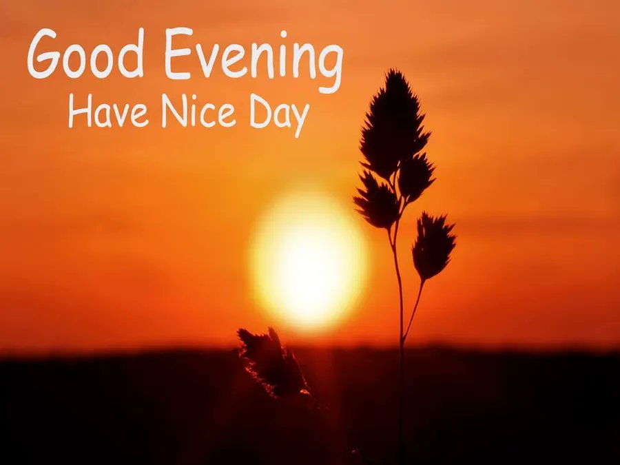 Good evening!

As the day comes to an end, we get time to recollect our day's experiences and prepare for the next day. Here are some good evening thoughts that can keep you motivated and positive:

Good evening 🌆