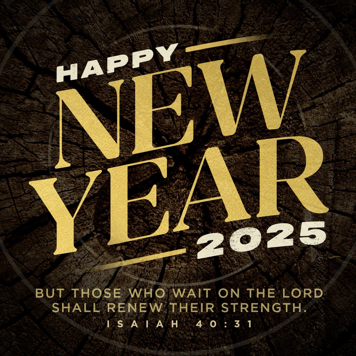 Happy New Year! "But those who wait on the Lord Shall renew their strength; they shall mount up with wings like eagles, they shall run and not be weary, they shall walk and not faint" (Isaiah 40:31).
