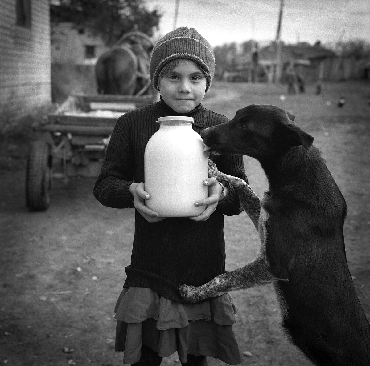 Henk Heijmans tweet media