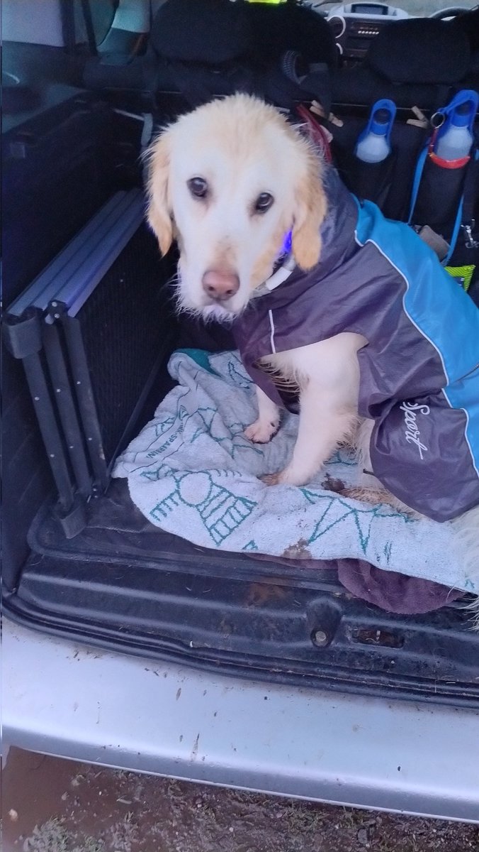 kitteridge_lisa's tweet photo. HNY!
What extreme☔🌪️to start the year.
BUT it meant we had the park to ourselves, which is a blessing for a reactive dog!
So although neither of them were keen to start off, they soon loved the freedom & soggy sniffs. Drenched is an understatement!
#sunshineplease
#nomorerain https://t.co/12Gzm4n9iA