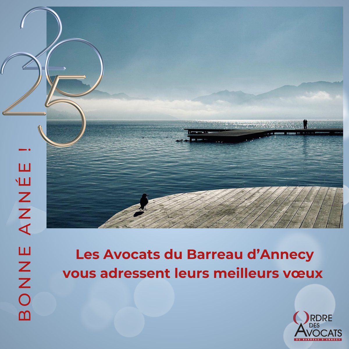 Les avocats du barreau d'Annecy vous souhaitent une excellente année 2025 ✨