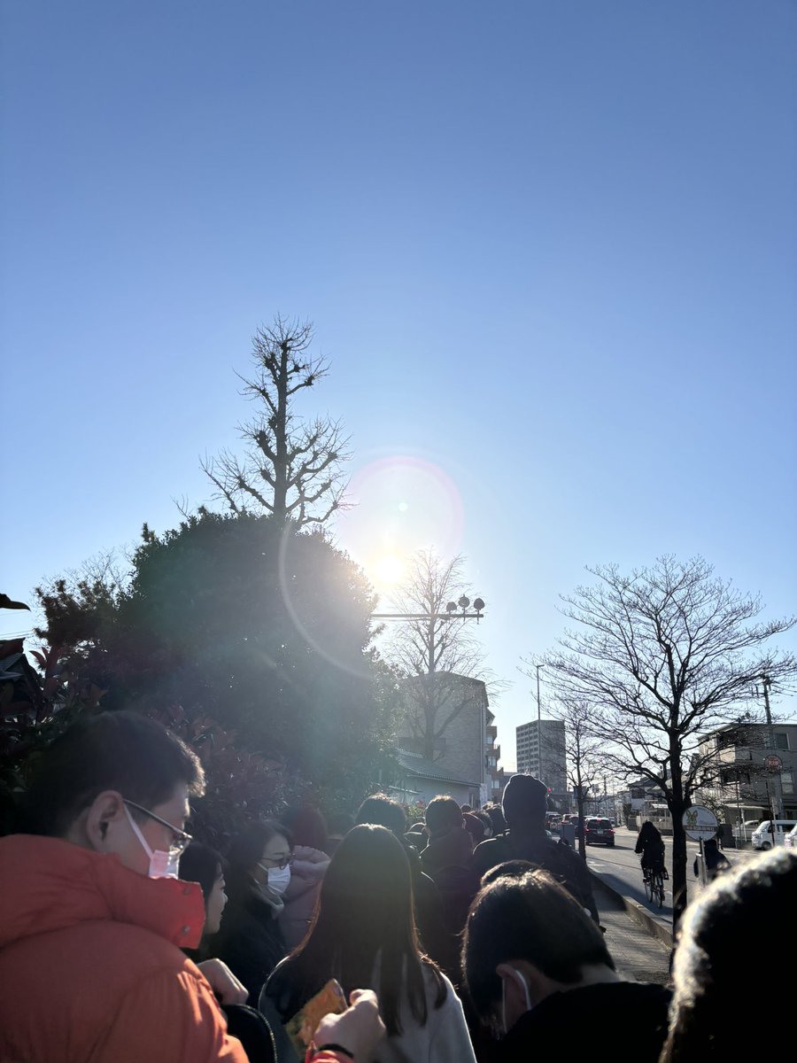 chakuko0719's tweet photo. 謹賀新年⛩🎍🌅
2025年もよろしくねー😃🐶🐾

＃トイプードル
＃さくら https://t.co/8R4KcZ0YGR