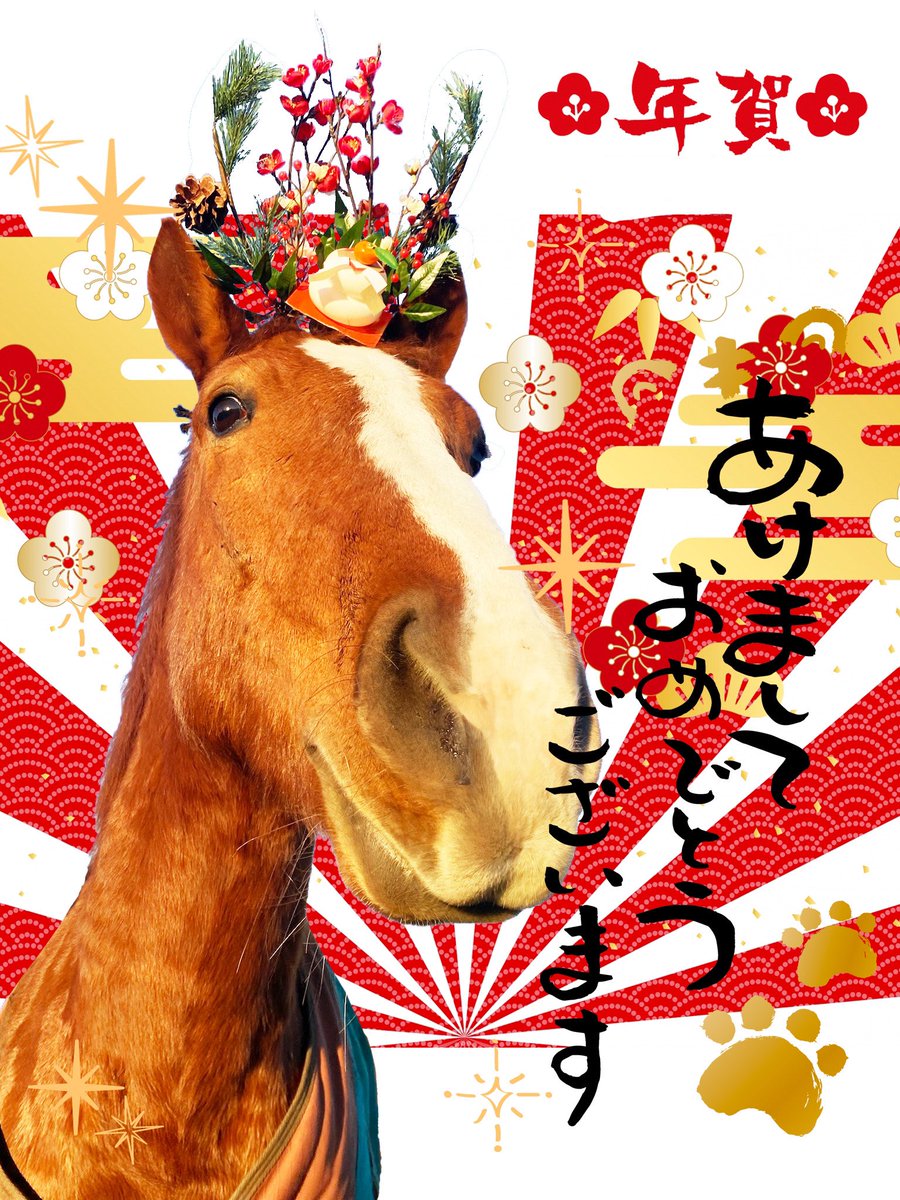 dooo_72's tweet photo. 今年もよろしくお願いしますー！
今年はもう少しコスプレして遊びたいぞー！ https://t.co/gaYPDIRnaT