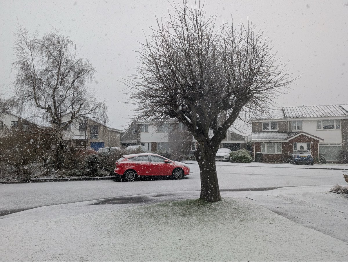 David Taylor 🏴󠁧󠁢󠁳󠁣󠁴󠁿 🇪🇺 tweet media