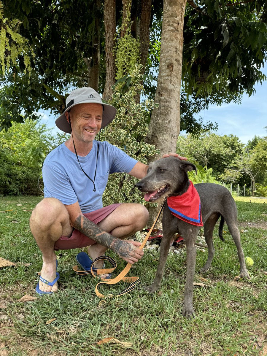 I was an alcoholic and abused pills while suffering from depression and anxiety for 25 years. 

It nearly killed me. I’ve been sober for exactly 4 years today. 

Here are 10 personal observations about getting fully sober (1/12) 🧵