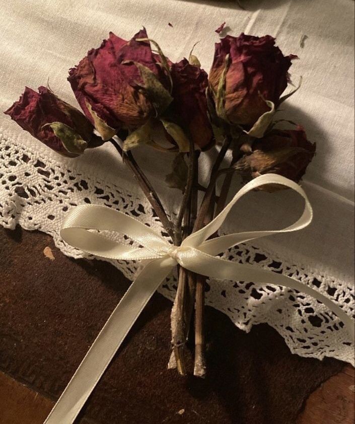 queenbooksx's tweet photo. ⌗⚘✿. lidos de 2025 ✷⋆˚˖
                        –  uma thread  ༘ ✷
“É 𝚐𝚛𝚊𝚗𝚍𝚒𝚘𝚜𝚘 𝚝𝚊𝚗𝚝𝚘 𝚊𝚖𝚊𝚛 𝚚𝚞𝚊𝚗𝚝𝚘 𝚜𝚎𝚛 𝚊𝚖𝚊𝚍𝚘. 𝙾 𝚊𝚖𝚘𝚛 𝚗ã𝚘 é 𝚊𝚕𝚐𝚘 𝚚𝚞𝚎 𝚙𝚘𝚜𝚜𝚊 𝚜𝚎𝚛 𝚍𝚎𝚜𝚙𝚎𝚛𝚍𝚒ç𝚊𝚍𝚘.” 
                         — 𝙹𝚎𝚖 𝙲𝚊𝚛𝚜𝚝𝚊𝚒𝚛𝚜 https://t.co/CLwMbh18cB