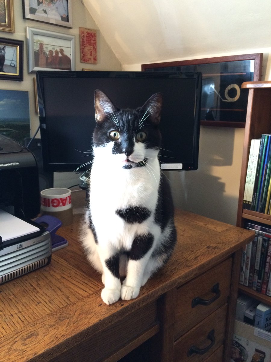 Chris Jaeger MBE #FBPE #RejoinEU 🇬🇧 🇮🇪 tweet media