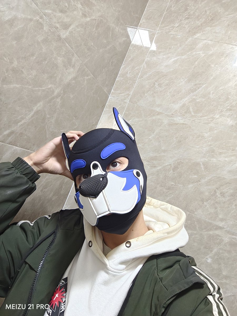 新的一年 也是小🐶的本命年
该许什么愿望好呢