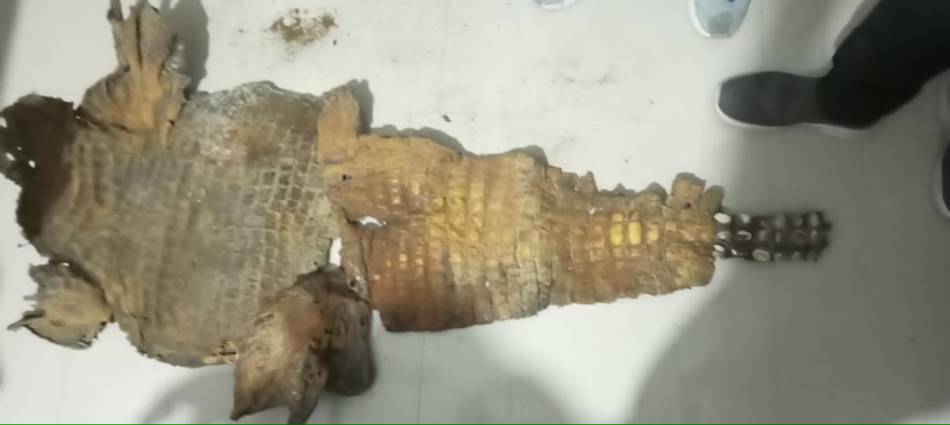 Wildlife Crime Control Bureau tweet media