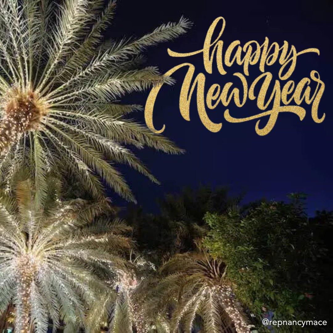 RepNancyMace's tweet image. Out with the old, in with the new! 🎉

Happy New Year! B-I-G things ahead in 2025. 🇺🇸 #LowcountryFirst