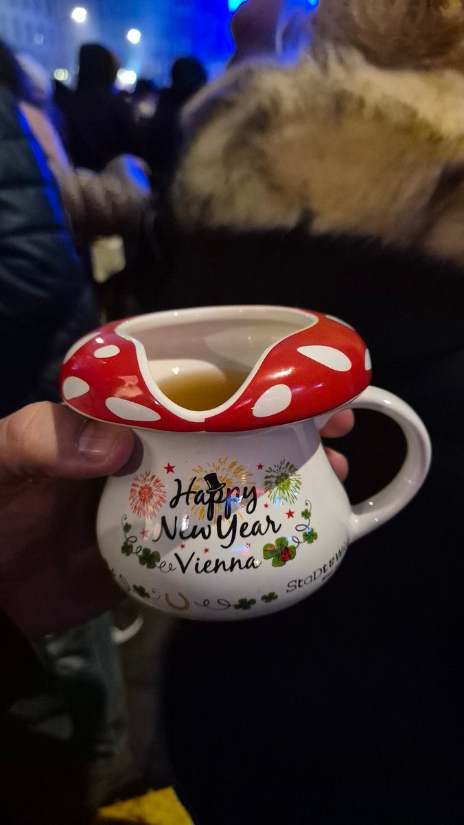 TheUnicate's tweet image. Happy new Year 2025 from Vienna!
#NewYear2025 #Vienna #2025newyear