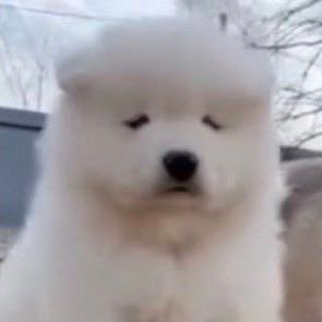 ❤️‍🩹❤️‍🩹❤️‍🩹