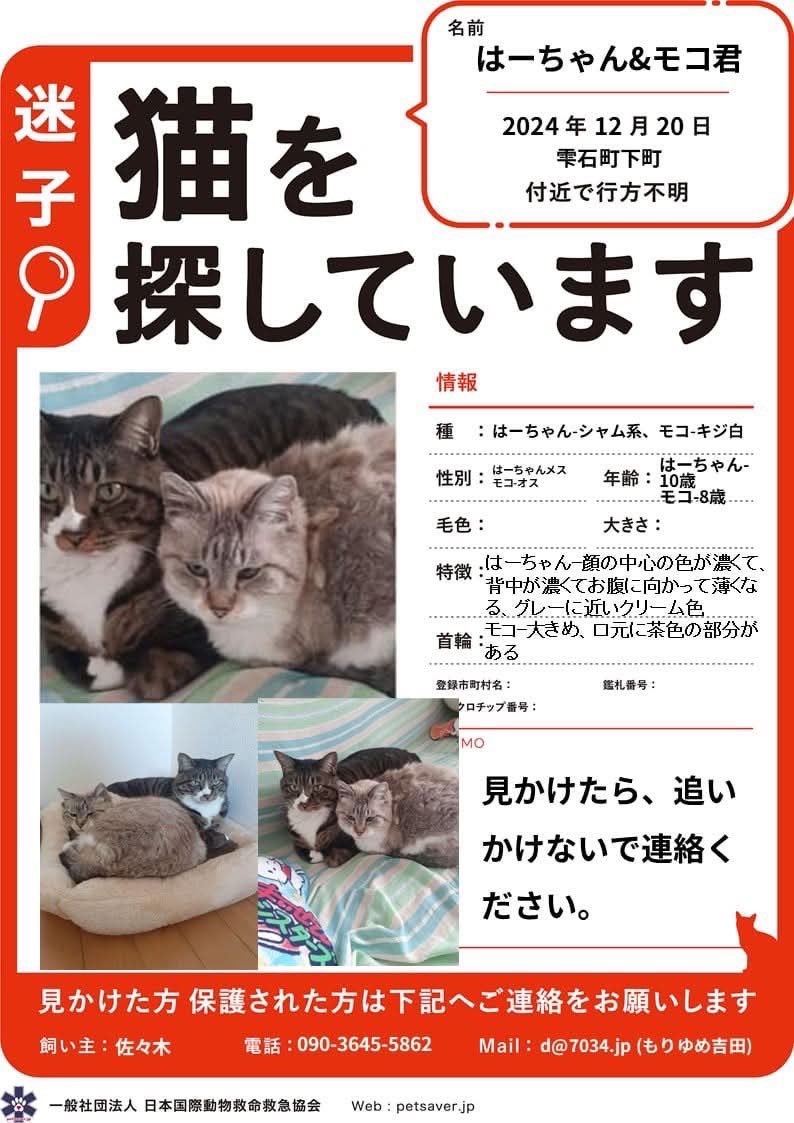ねこ捜索のお願いです！
岩手県雫石町下町付近でおうちから脱走してしまいました。見かけた方は画像の連絡先までご連絡いただけますと助かります。
ご協力お願いいたします！
