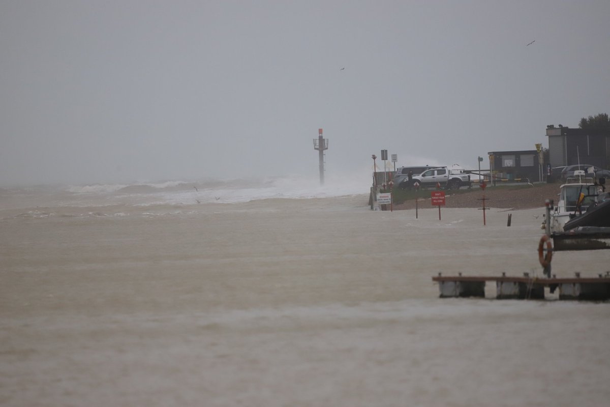 paul wells tweet media