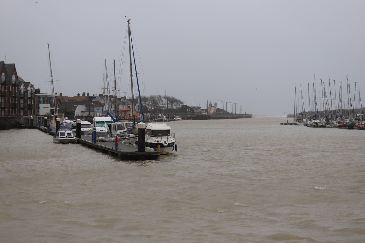 paul wells tweet media