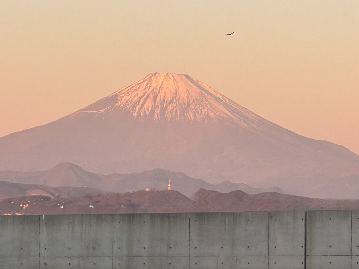 今年は初日の出を見に行ってきた
久々に富士山もきれいに見れた
そして伊勢海老を捕獲してきた🙄