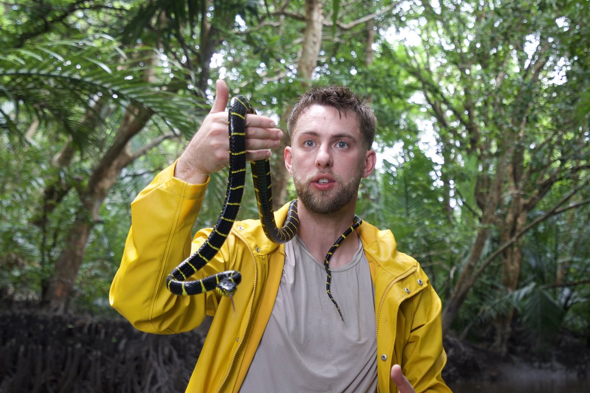 daratah's tweet image. 2024 is the most important year I’ve ever had to review.
This year has come with some of the craziest successes and the most insane experiences a human on earth can have:
✅Scuba dived into the Zenobia shipwreck
✅Spent a night on the most haunted island in the world…