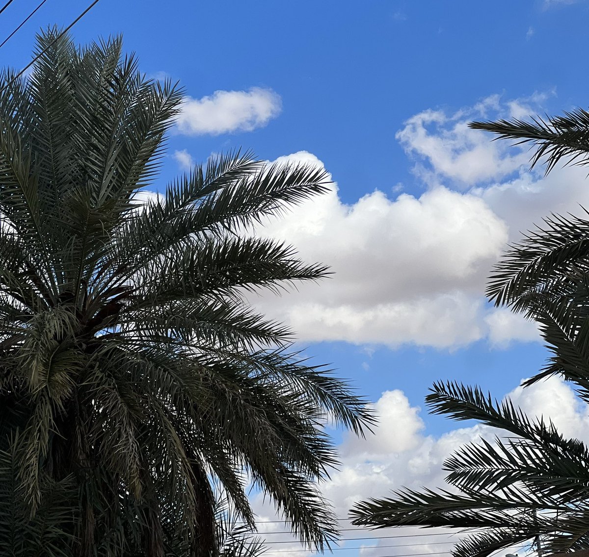 زارتنا غيوم يناير
يامرحبا يابدايات الخير
#سنة2025