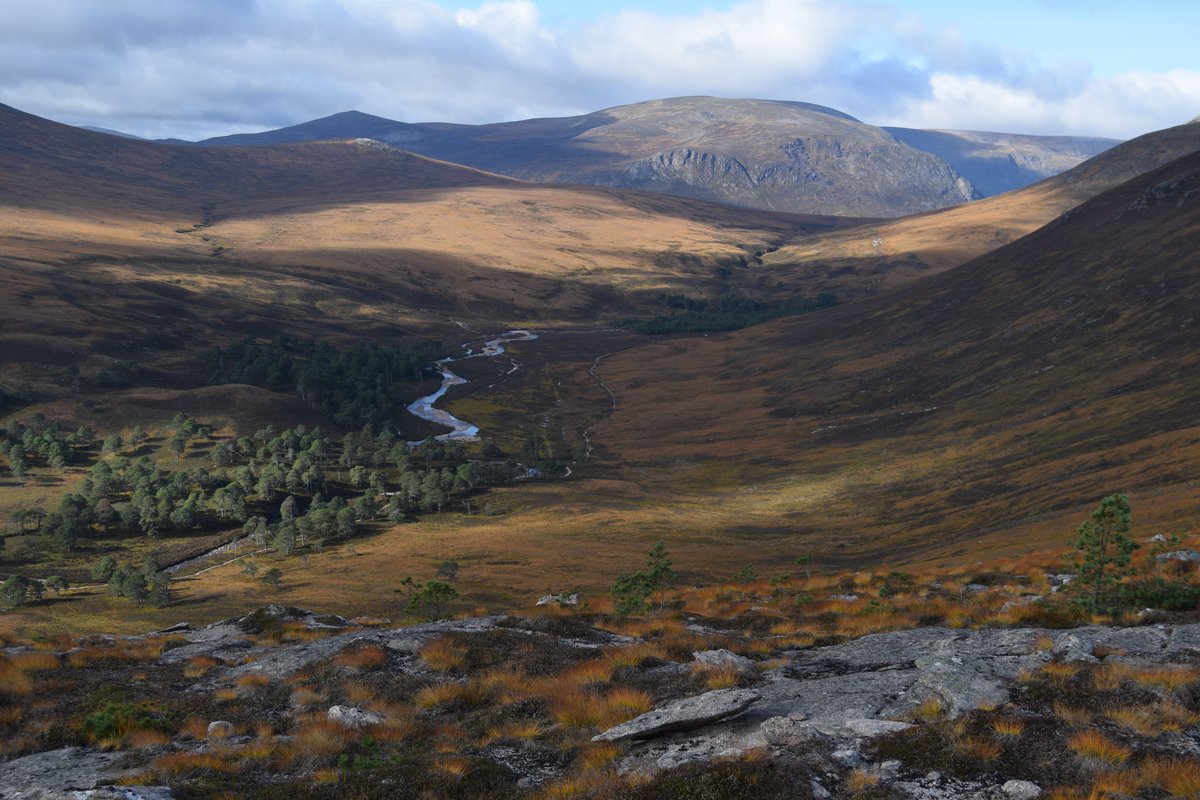 Mar Lodge Estate National Nature Reserve NTS (@marlodgents) on Twitter photo Happy New Year to all from the team at Mar Lodge. 
We look forward to welcoming many of you to the estate in 2025. 
PS. Picture not from today ! Happy New Year to all from the team at Mar Lodge. 
We look forward to welcoming many of you to the estate in 2025. 
PS. Picture not from today !