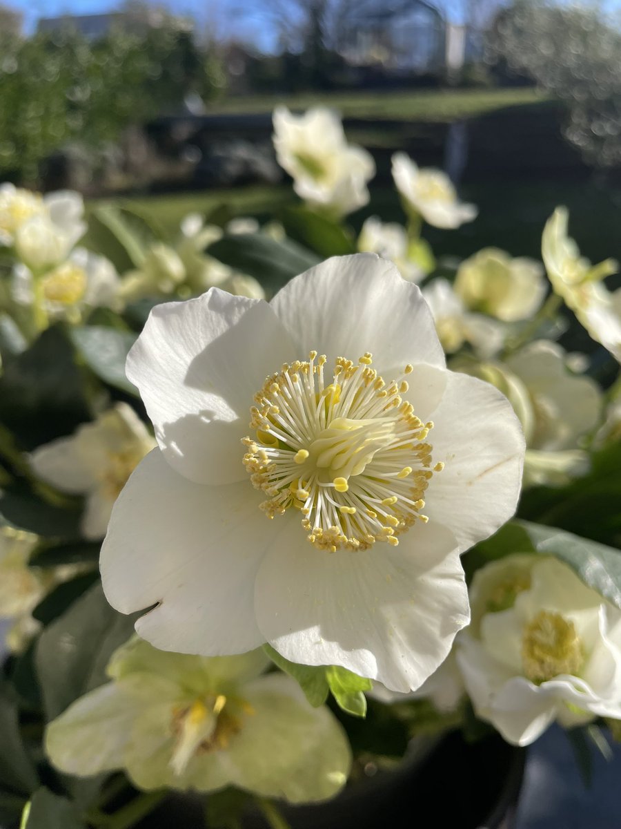 Bonne année 2025 à vous tous !!