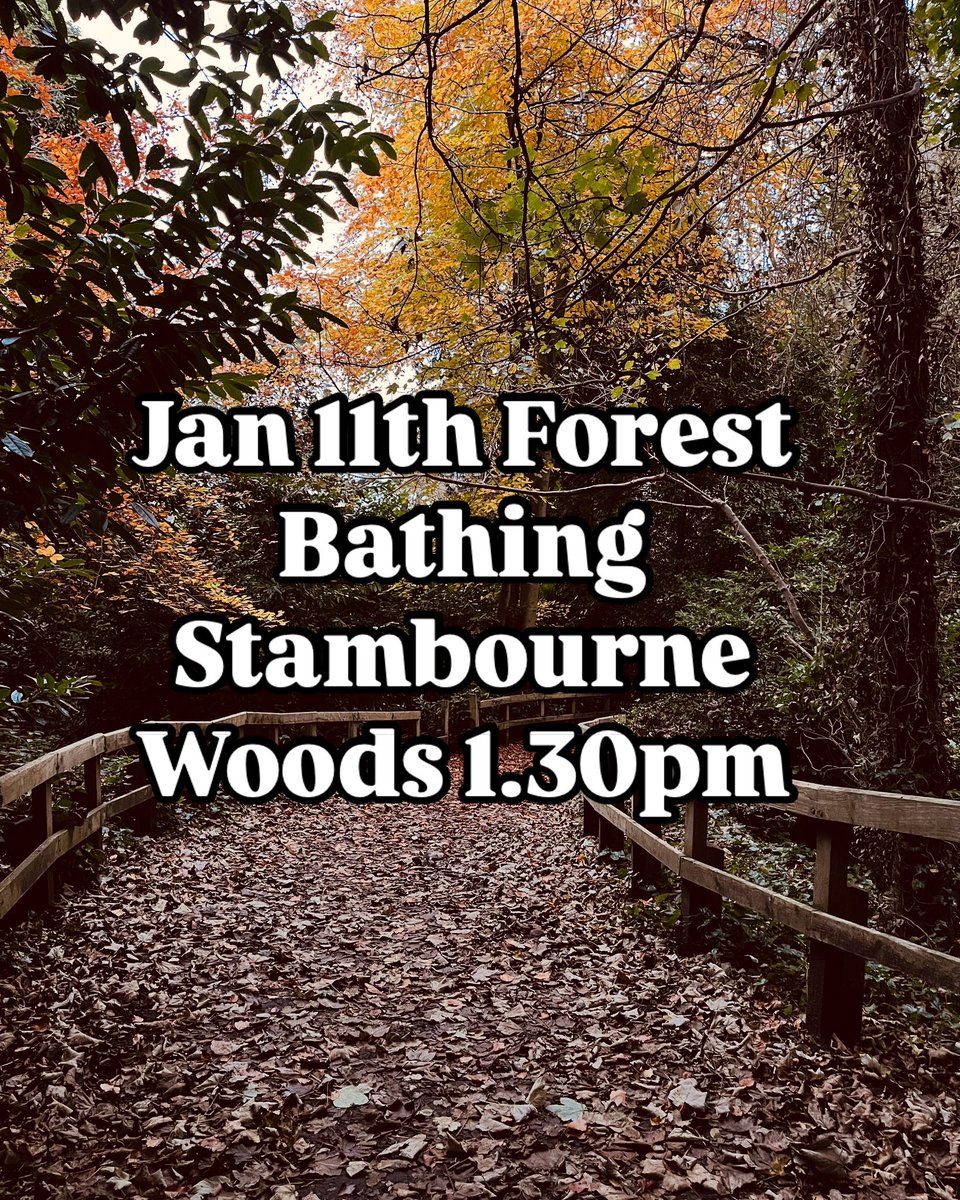 Start that 2025 health drive the right way.

💚 Reduce stress
💚 Connect
💚 Slow down

Join us in Stambourne Woods to learn forest bathing 

Book free linktr.ee/parkbathe
