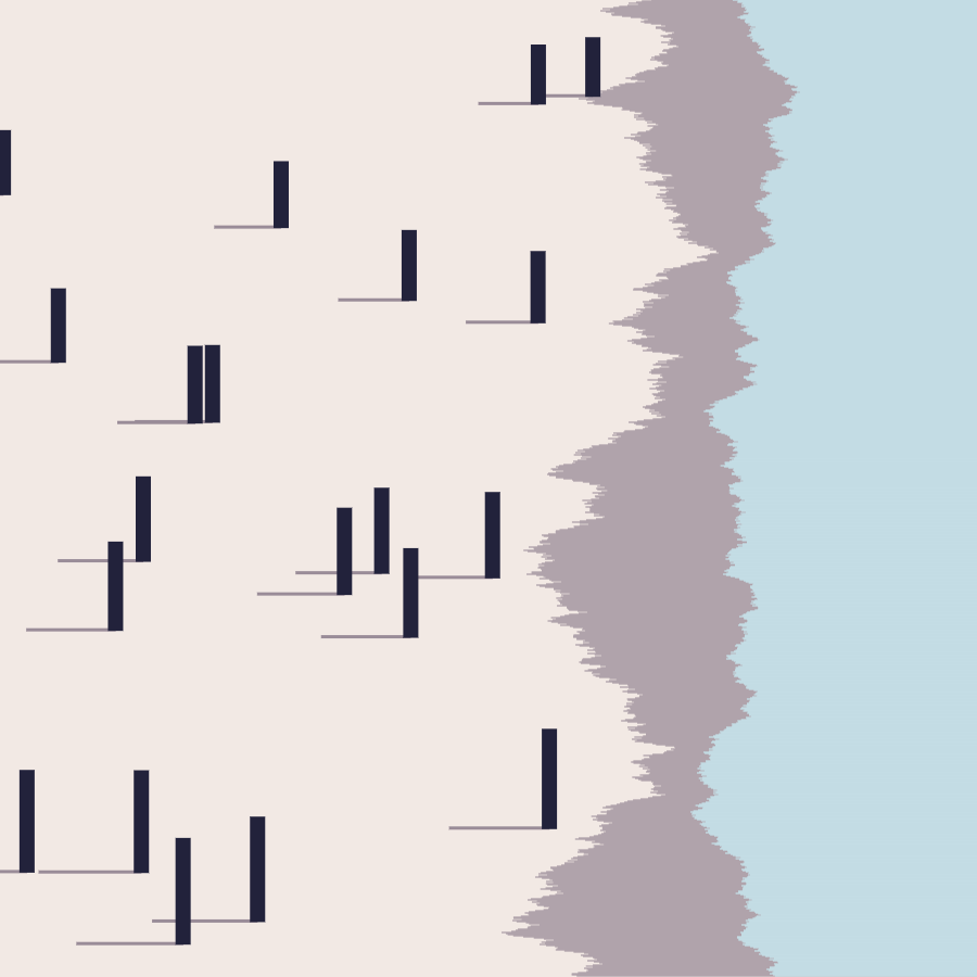 Shay Komet tweet media